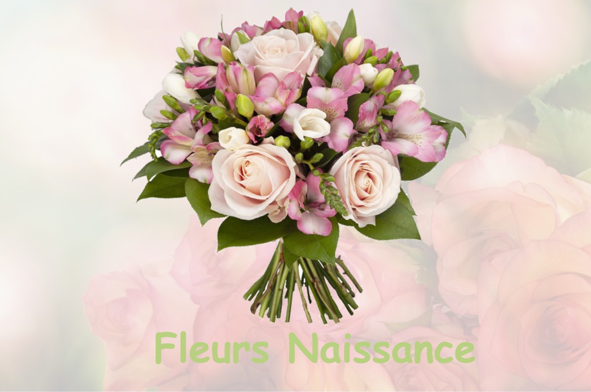 fleurs naissance BOUTX