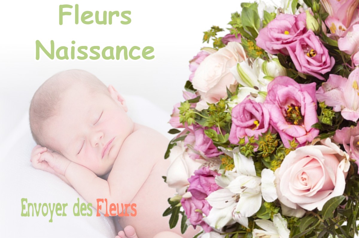 lIVRAISON FLEURS NAISSANCE à BOUTX